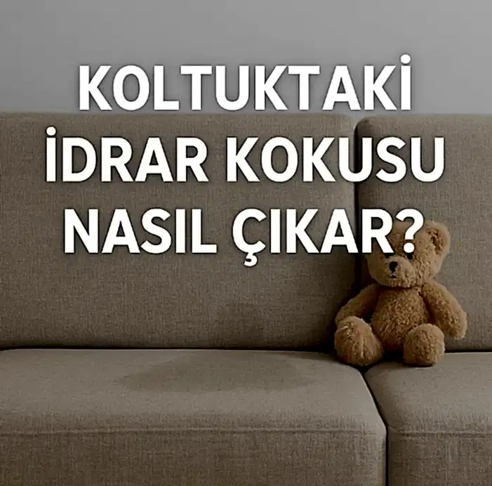 Koltuktaki Idrar Kokusu Nasil Cikar